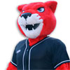 Pouncer
