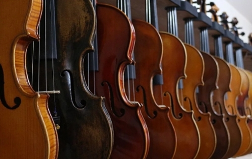 Violins