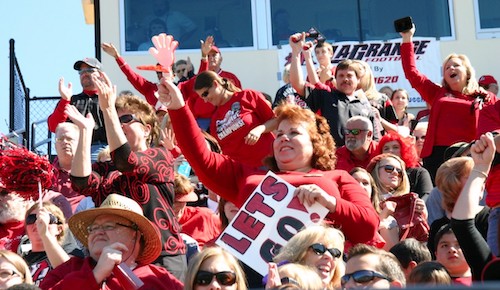 Fans cheer at football game