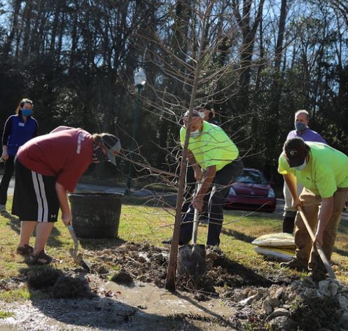 tree-planting.JPG