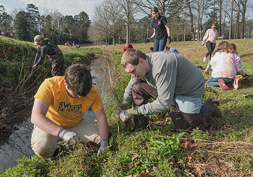 Two students huddle on stream bank and prepare to plant a pollinator-friendly grass along Park Creek.