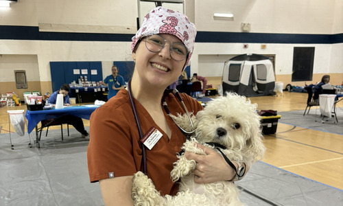Biology alum practicing to become a veterinary