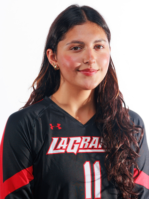 Sophomore earns academic award for athletics