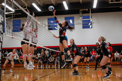 vball-meredith-orton.jpg
