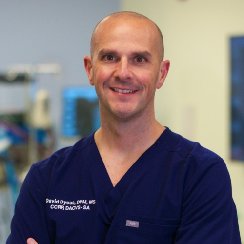 Head shot of David Dycus in scrubs