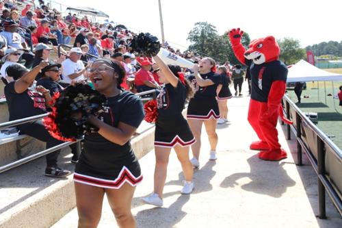 Cheerleaders hype up crowd at football game