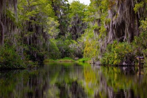 Natural waterway in Georgia