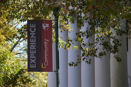 a banner that says EXPERIENCE hangs over a cobblestone walk