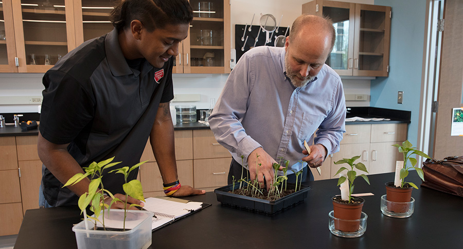A student studies a plant with a professor