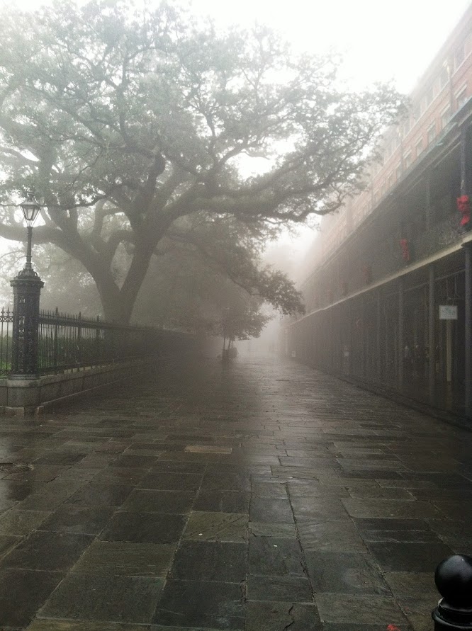 Fog-Jackson-Sq-Park.jpg