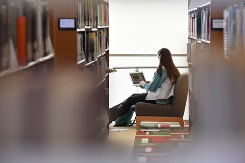 Student studying in the library, surrounded by shelves of books