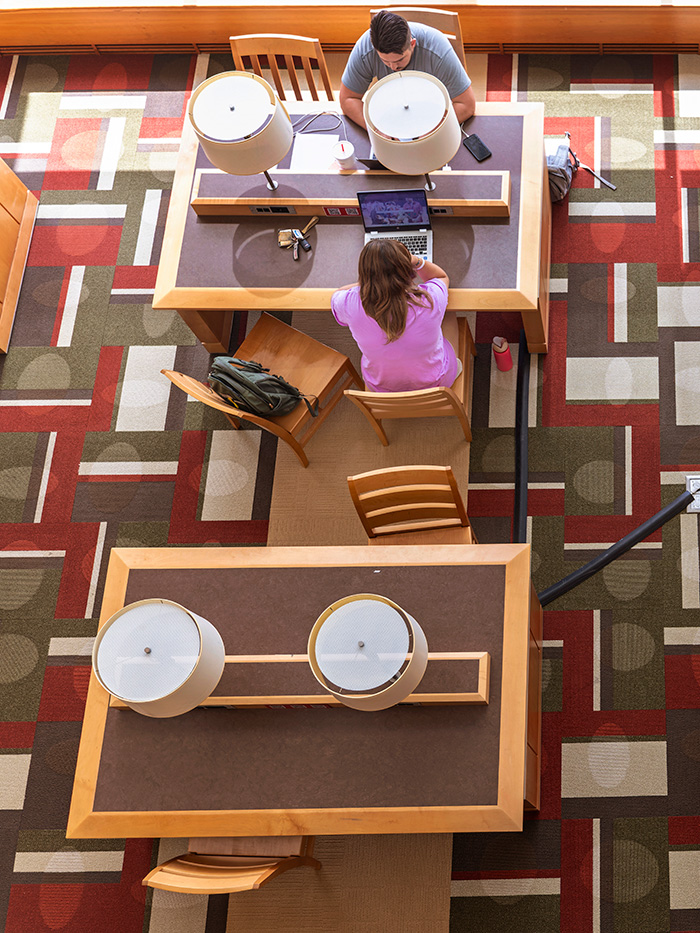 An overhead view of the Library study area