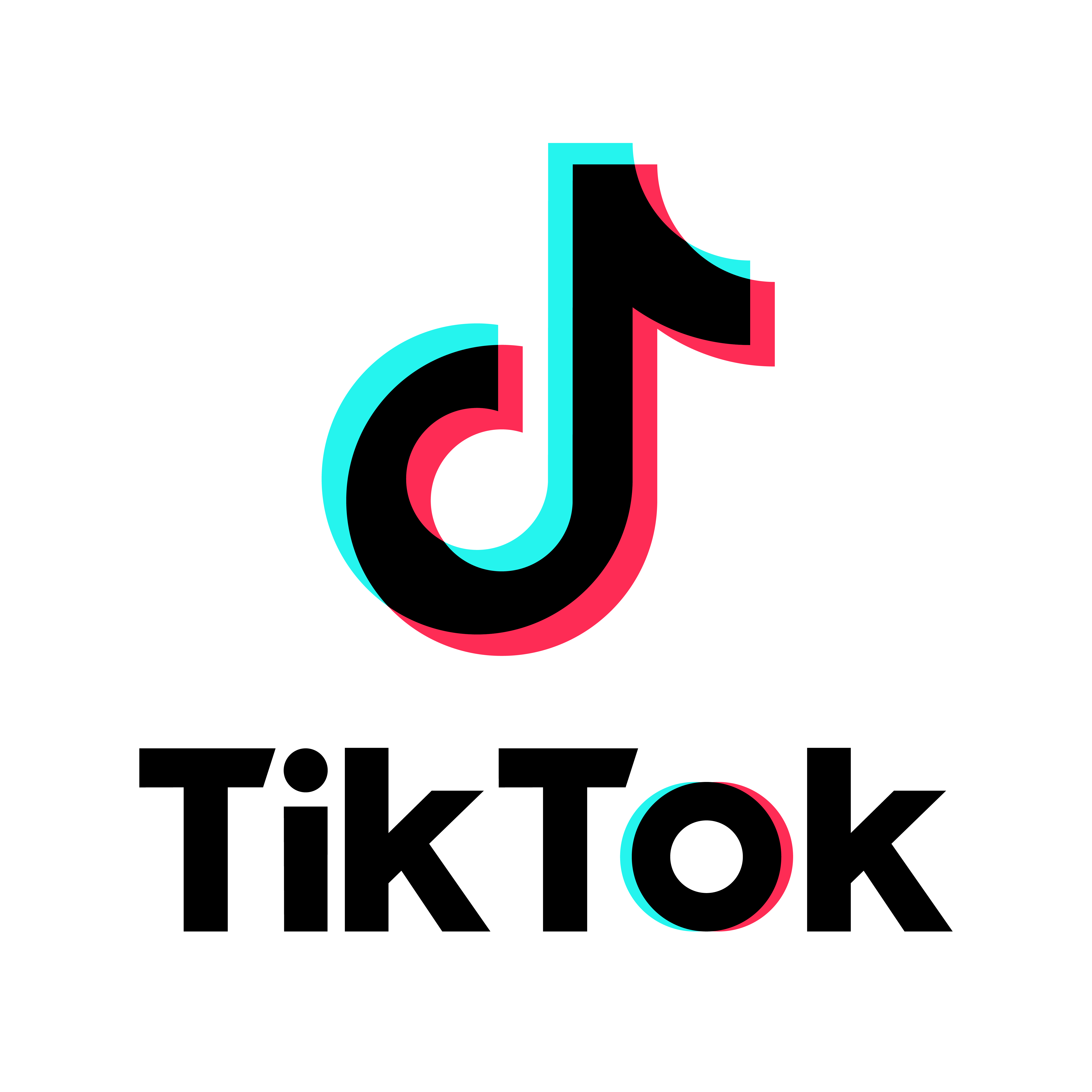 TikTok icon