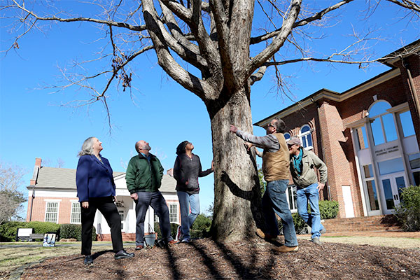 From left, Dr. Elizabeth Appleby, Dr. Mark Yates, Alexis Simmons, Michael Coniglio and Sam Breyfogle check out the Murphy Oak on the Academic Quad.