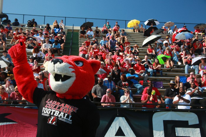 Pouncer cheer